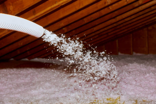 Best Residential Insulation in Blackhawk, SD