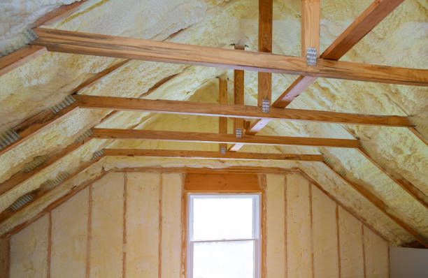 Best Spray Foam Insulation in Blackhawk, SD