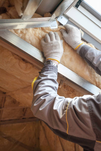 Best Residential Insulation in Blackhawk, SD